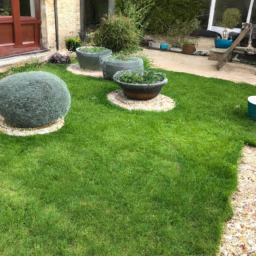 Techniques de taille pour maintenir un jardin esthétique et en bonne santé Romans-sur-Isere